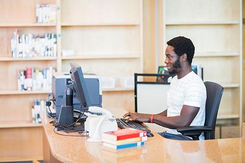 male librarian working